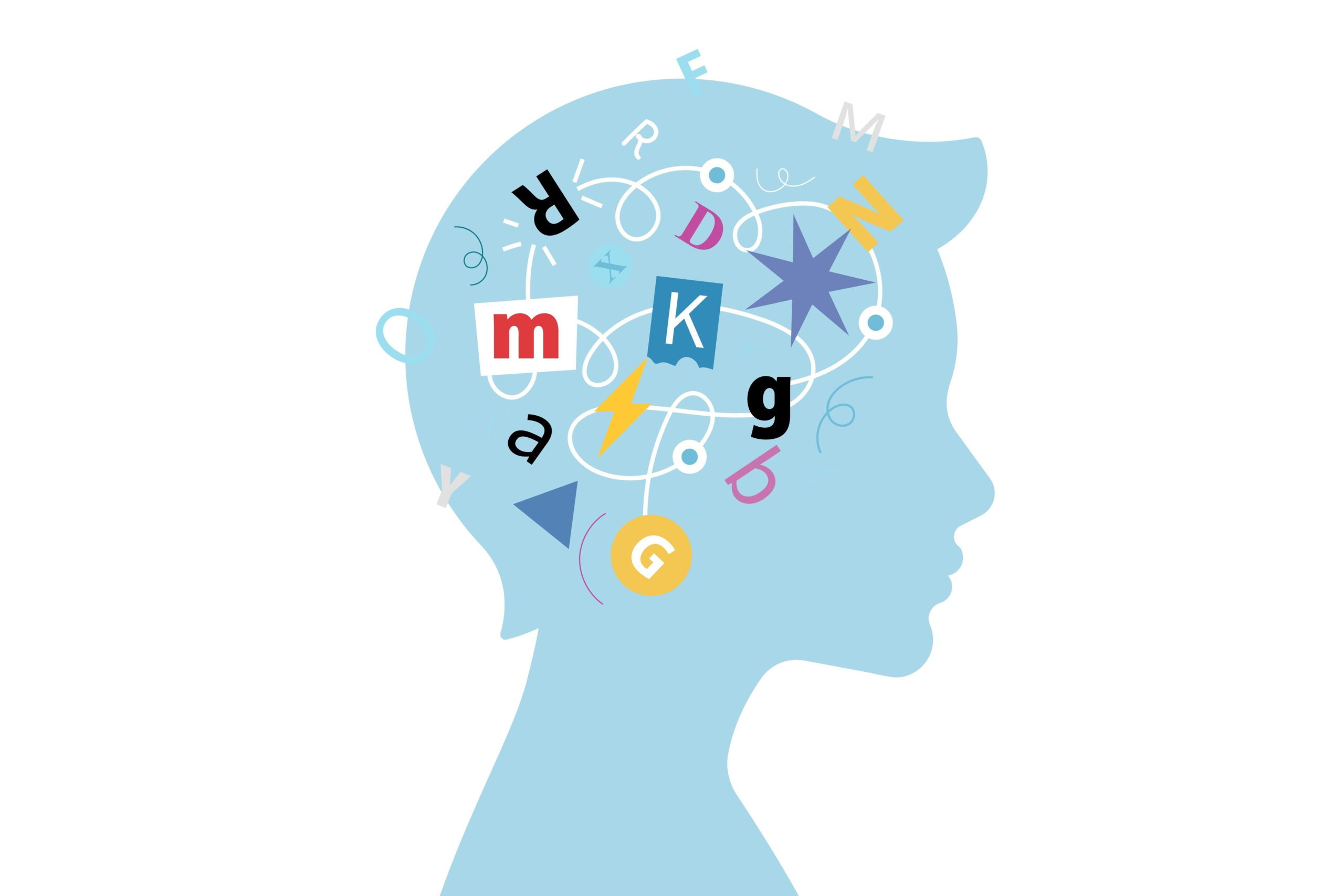 profile of head showing representative neural pathways